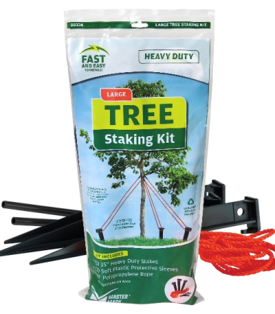 3e172b30-2c4e-4b7d-8273-4f0188f43349_removalai_preview